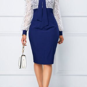 Lace office elegant dress